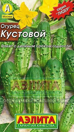 Огурец кустовой фото